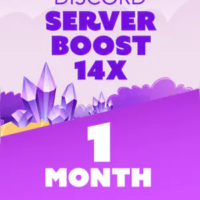 Discord_Server_-_14x_Boost_-_1_Month